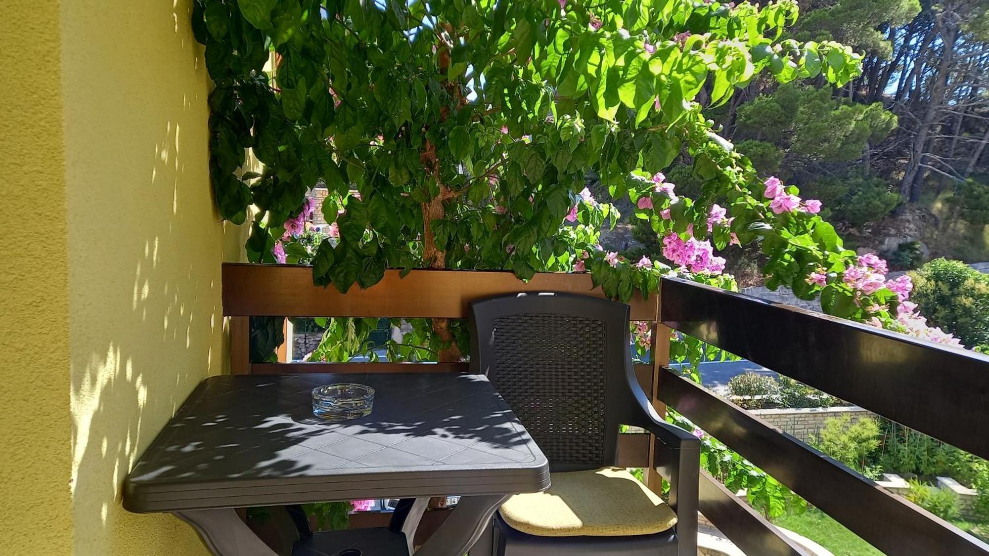 Bugenvilija Duće Dış mekan fotoğraf